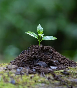 A new way of cleaning while respecting nature.