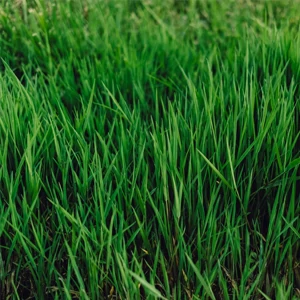 Biological Activators offerte al miglior prezzo