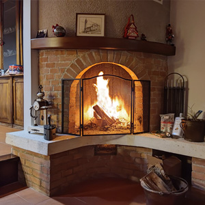 Professional ash vacuum offerte al miglior prezzo