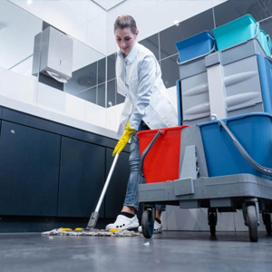 Floor cleaning trolleys offerte al miglior prezzo