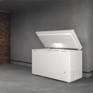 Freezers offerte al miglior prezzo