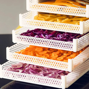 Food dryer offerte al miglior prezzo