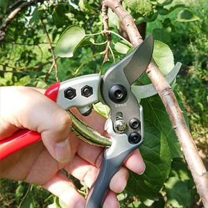 Pruning scissors and shears offerte al miglior prezzo