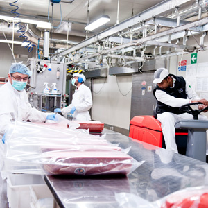 Food industry detergents offerte al miglior prezzo