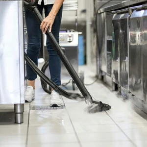 Professional steam cleaners offerte al miglior prezzo