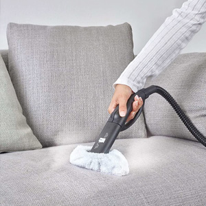 Professional steam cleaners for home offerte al miglior prezzo