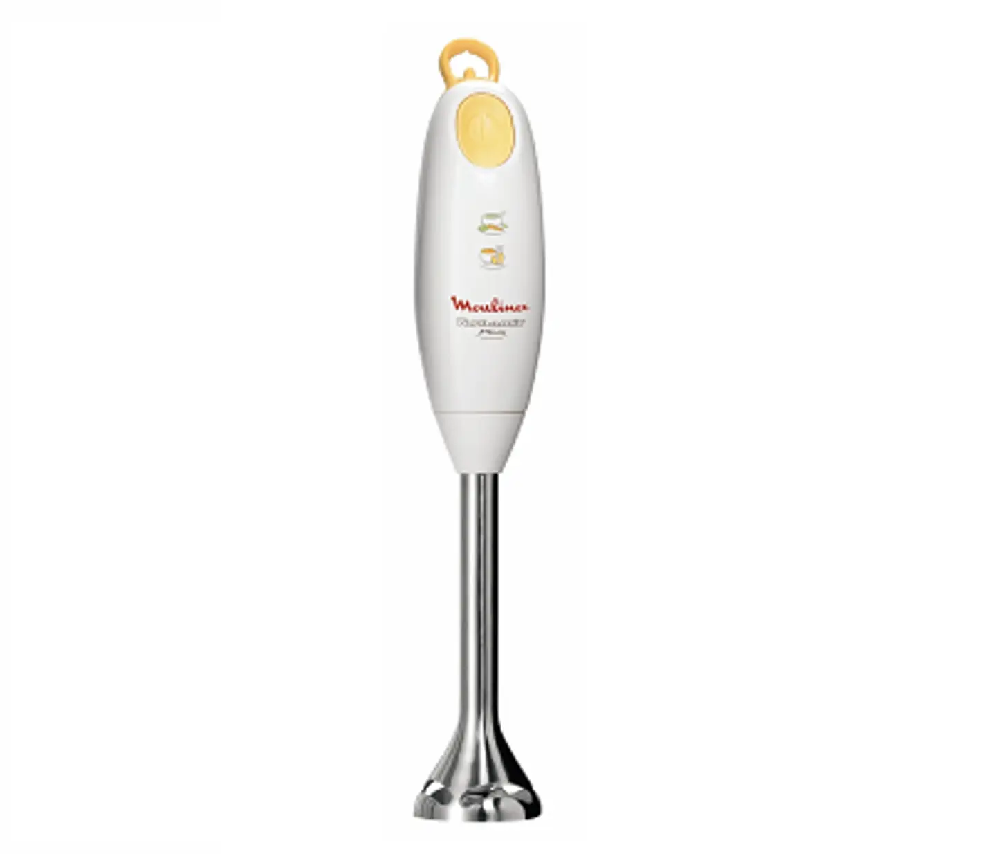 Spare parts and accessories Immersion blenders Moulinex Turnomix Plus - DDJ341