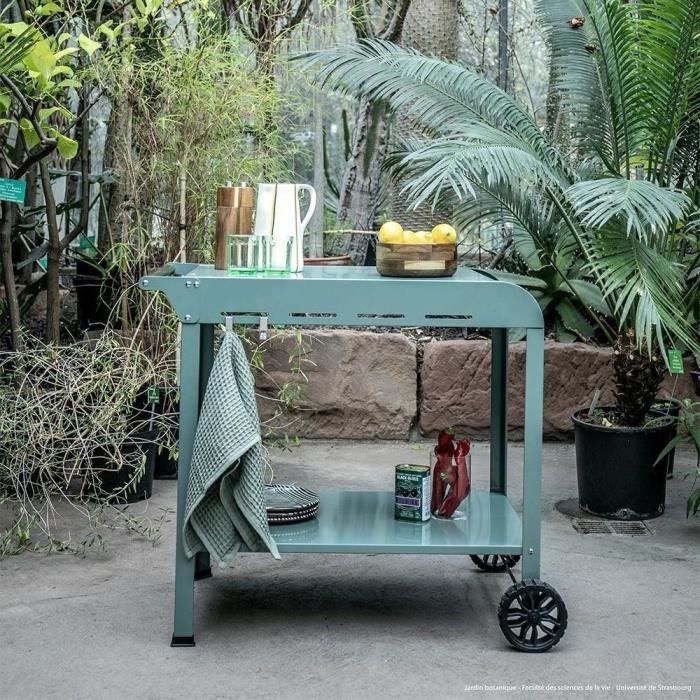 Plancha Trolley - LIVOO - GS168V - Green/Black