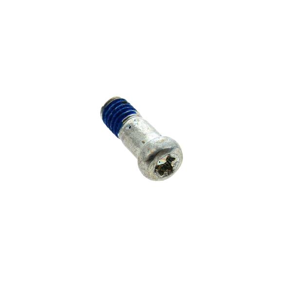 MINI 2 hinge screw - C00321708
