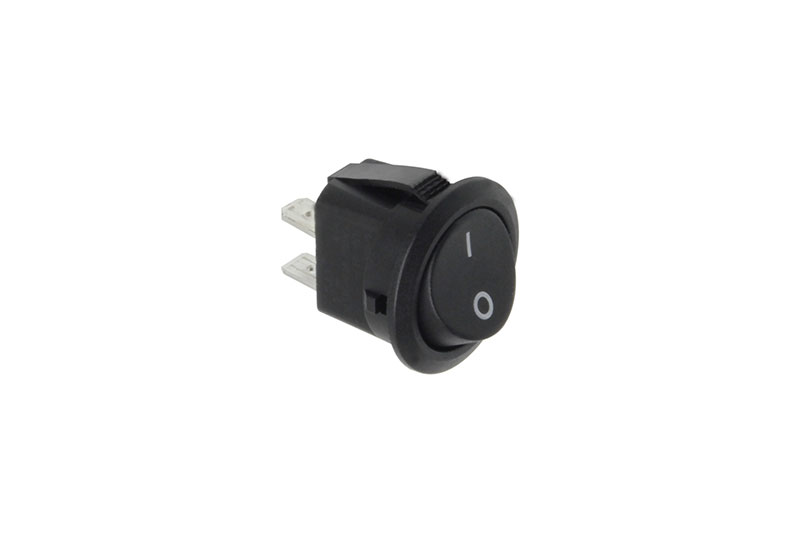 SINGLE-POLE SWITCH (250V/10A)