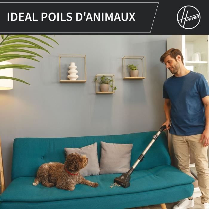 Bagless vacuum - HOOVER - HP321PAF - 850 W - 75 dBA - 2 L - Grey