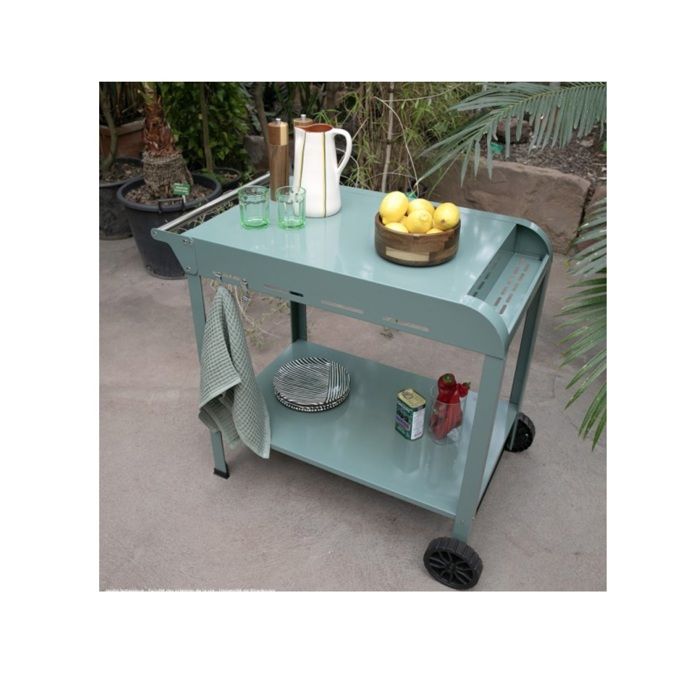 Plancha Trolley - LIVOO - GS168V - Green/Black