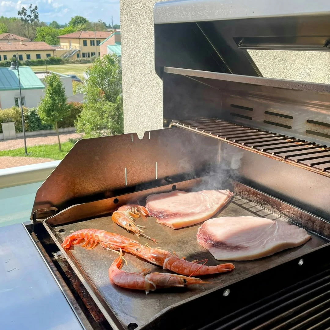 Fry Top 750 Stone Gas Barbecue 4 Burners Soapstone