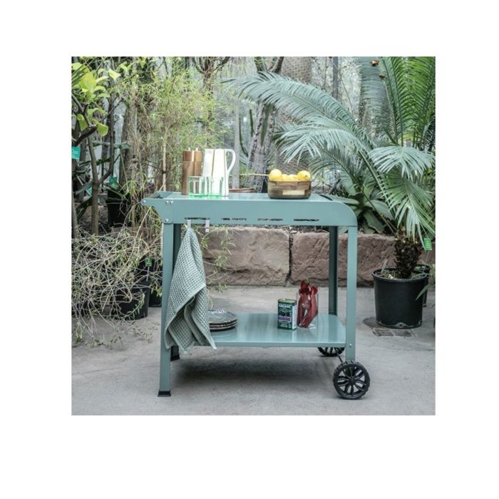 Plancha Trolley - LIVOO - GS168V - Green/Black