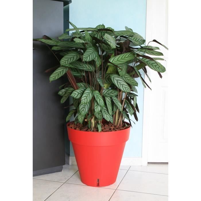 giardino del contenitore in plastica