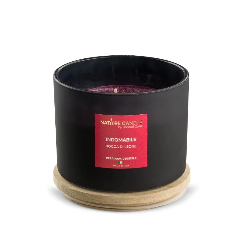 Indomitable natural scented candle - Lion's mouth 380 gr - Leiè collection