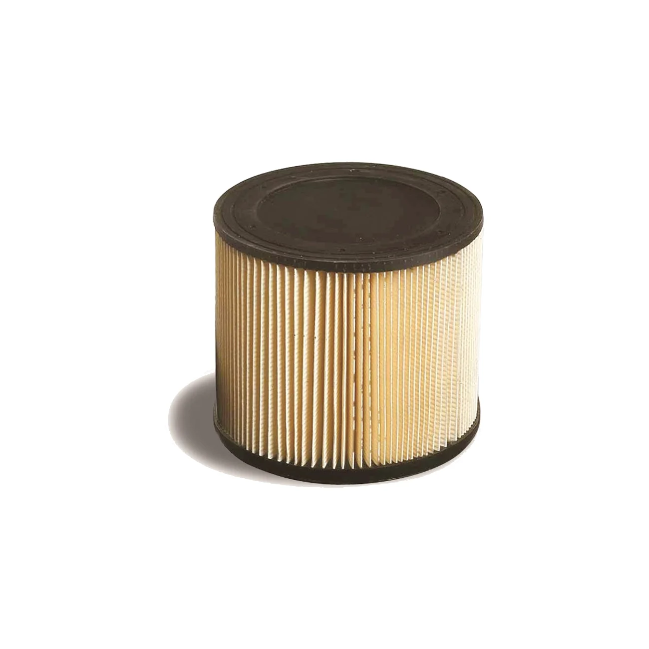 Cartridge filter for AS 7 P professional vacuum cleaner