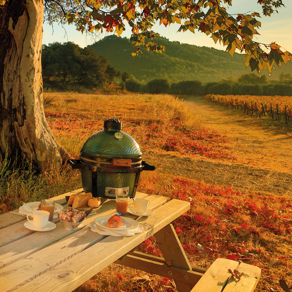 Mini Max Barbecue - Big Green Egg