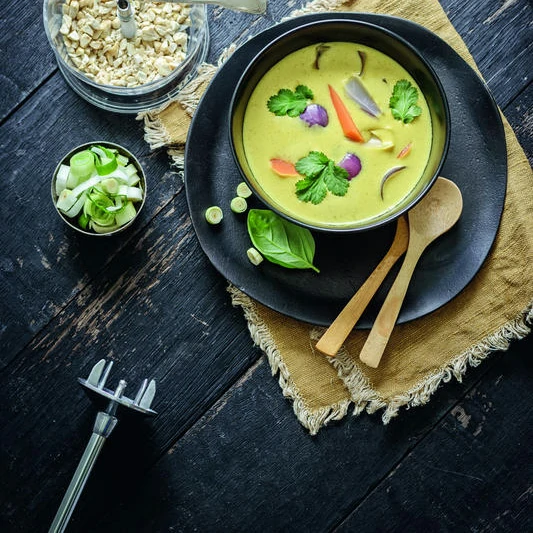 Bamix Mono M160 Immersion Blender Black