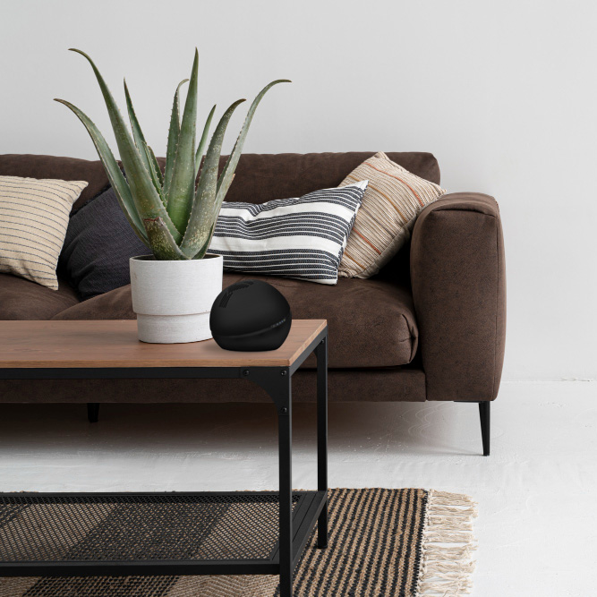 Bioxigen Globo black air purifier