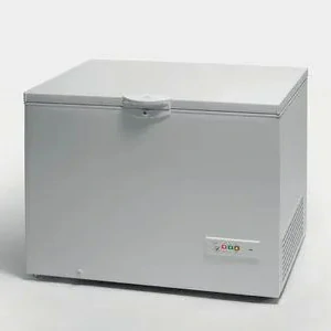 Indesit 315 LT E WHITE OS 2A 300 H chest freezer