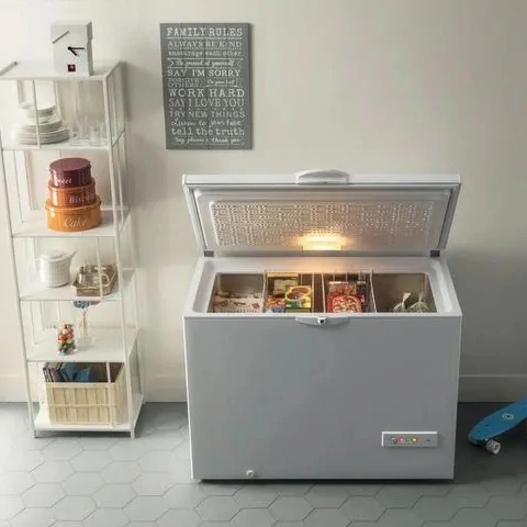 Indesit 315 LT E WHITE OS 2A 300 H chest freezer