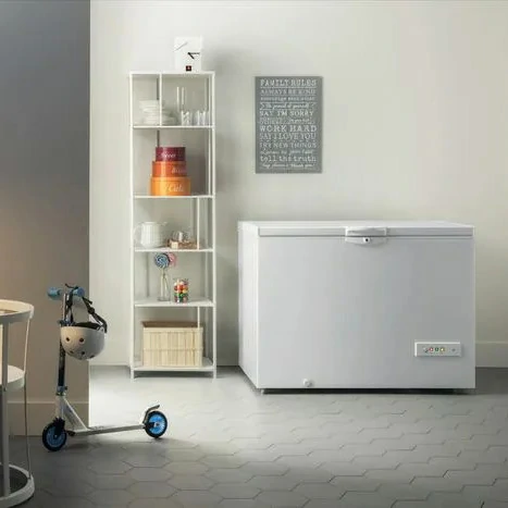 Indesit 315 LT E WHITE OS 2A 300 H chest freezer