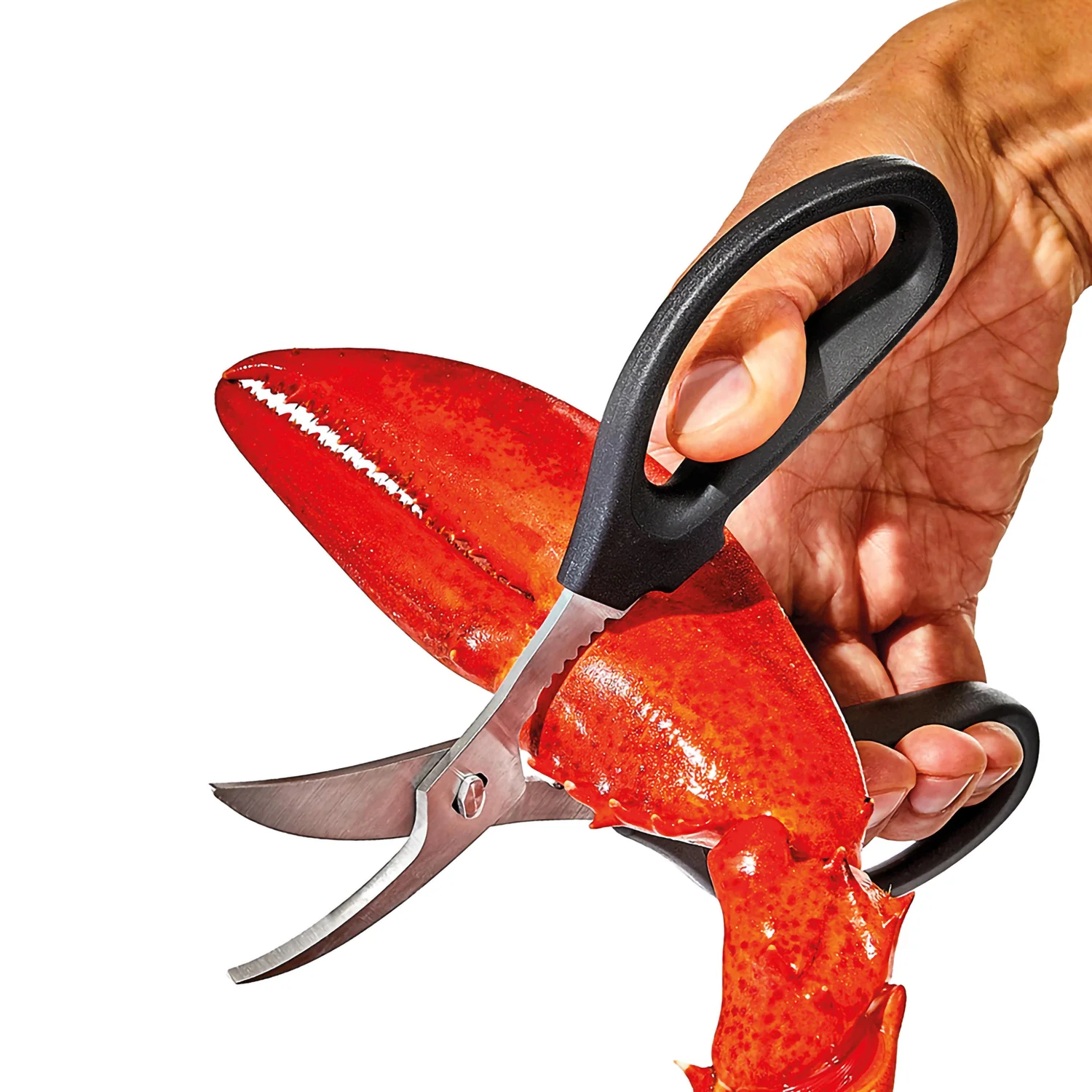 Fish scissors - Oxo