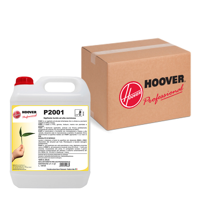 Box of 4 canisters P2001 Highly glossy high strength sealant