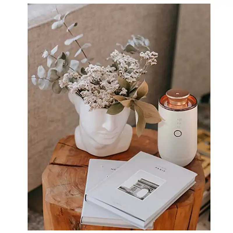 Lux Essenzapura electric air freshener white and gold