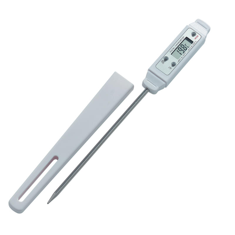 Digital immersion thermometer with probe