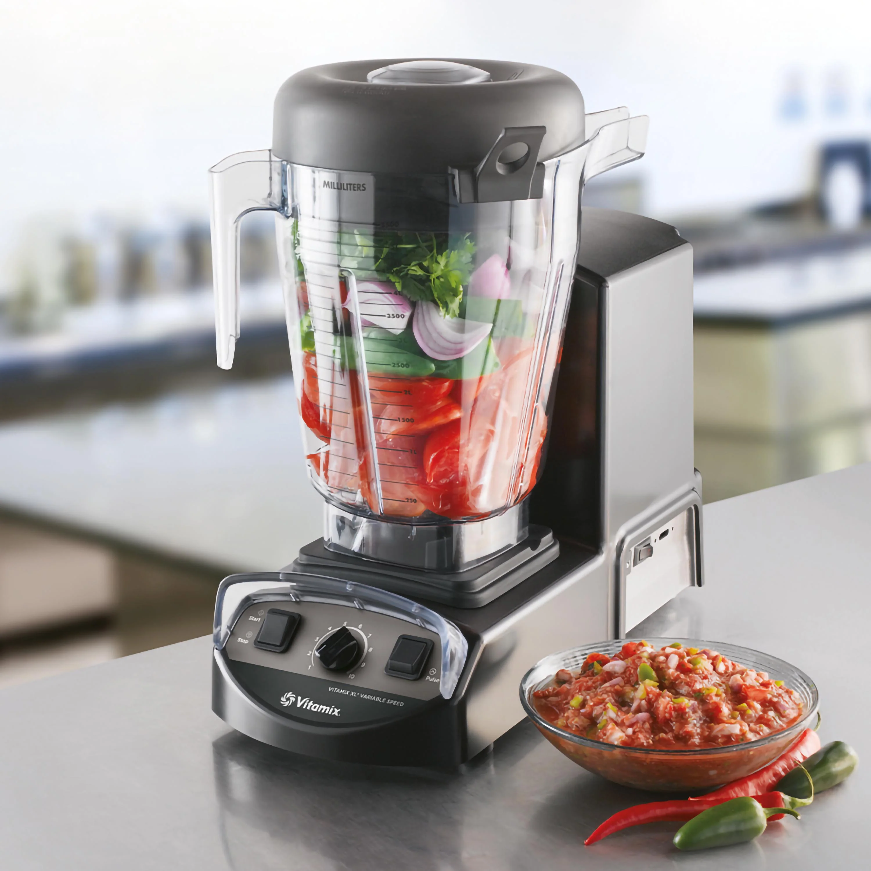 Vitamix XL Professional Blender/Micronizer