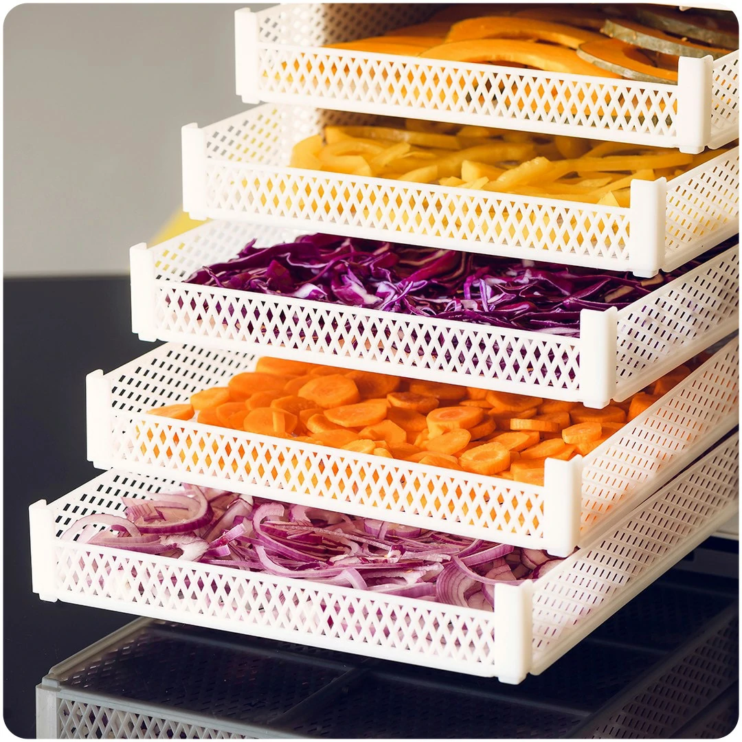 Biosec Domus B5 Food Dryer - Free Shipping