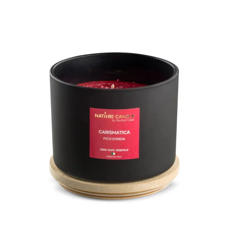 Charismatic natural scented candle - Fico d'India 380 gr - Leiè collection