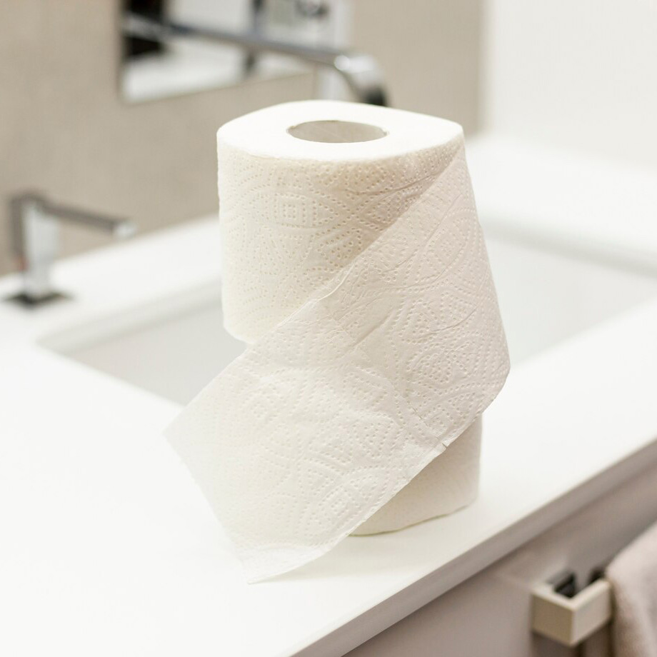 Packaging: 10 packs of toilet paper, 4 rolls, 2000 tears, Paperdi