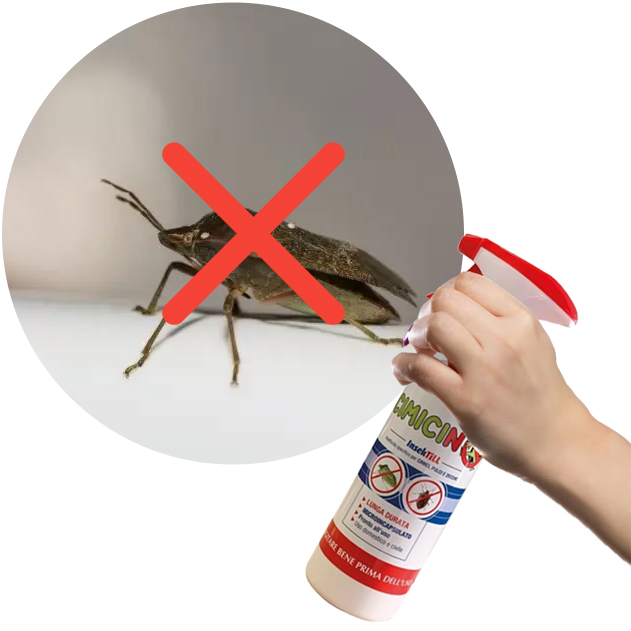 Insecticide for bugs, fleas and ticks Cimicino 500 ml