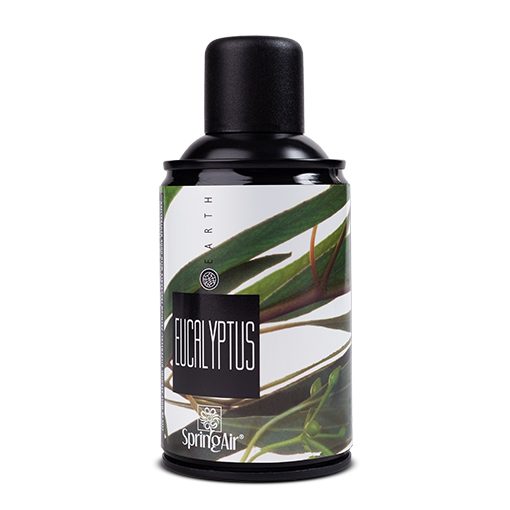 Eucalyptus air freshener