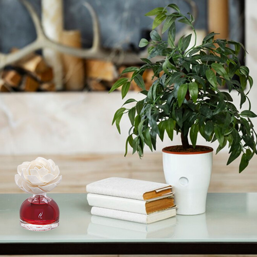 Room freshener with Orchid flower 100 ml Rosso Divino