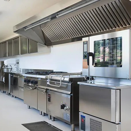 ProActive Forni & Grill Descaling Detergent for Ovens and Grills 750 ml