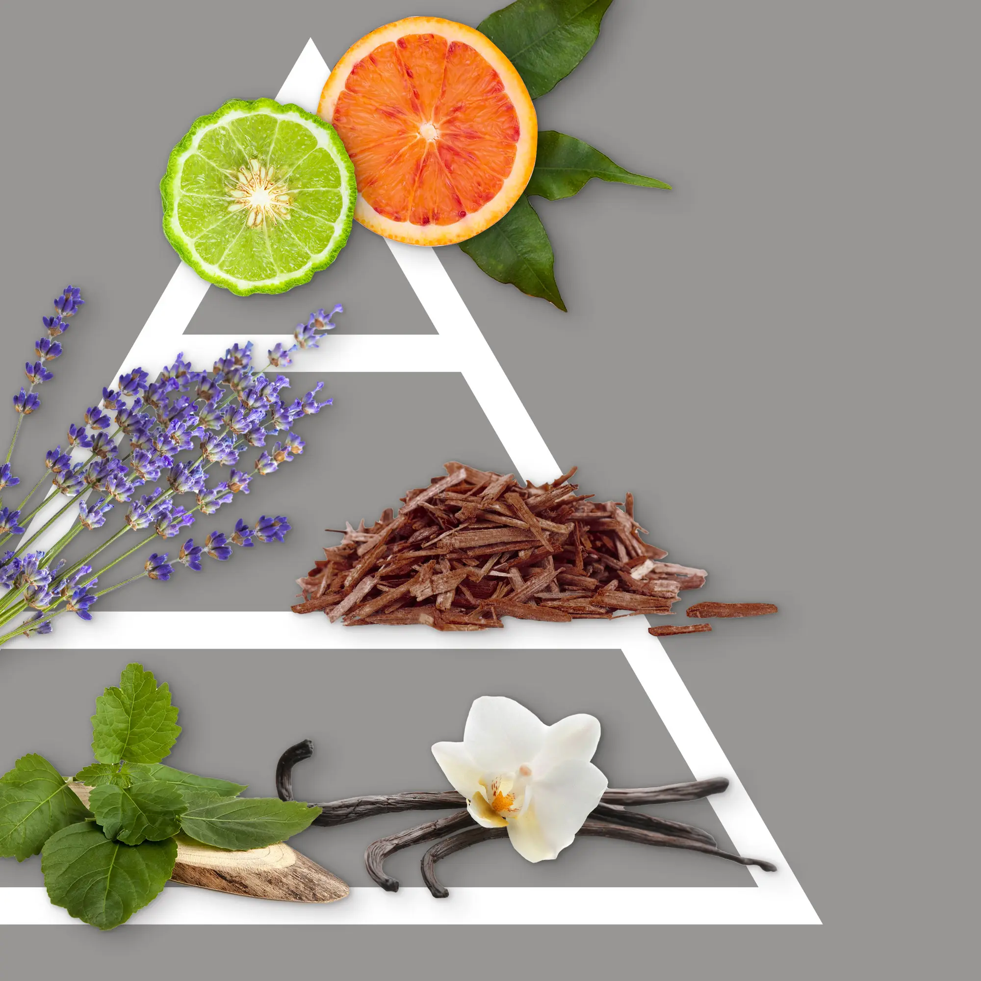 Air freshener with flower 100 ml Sandalo Nobile